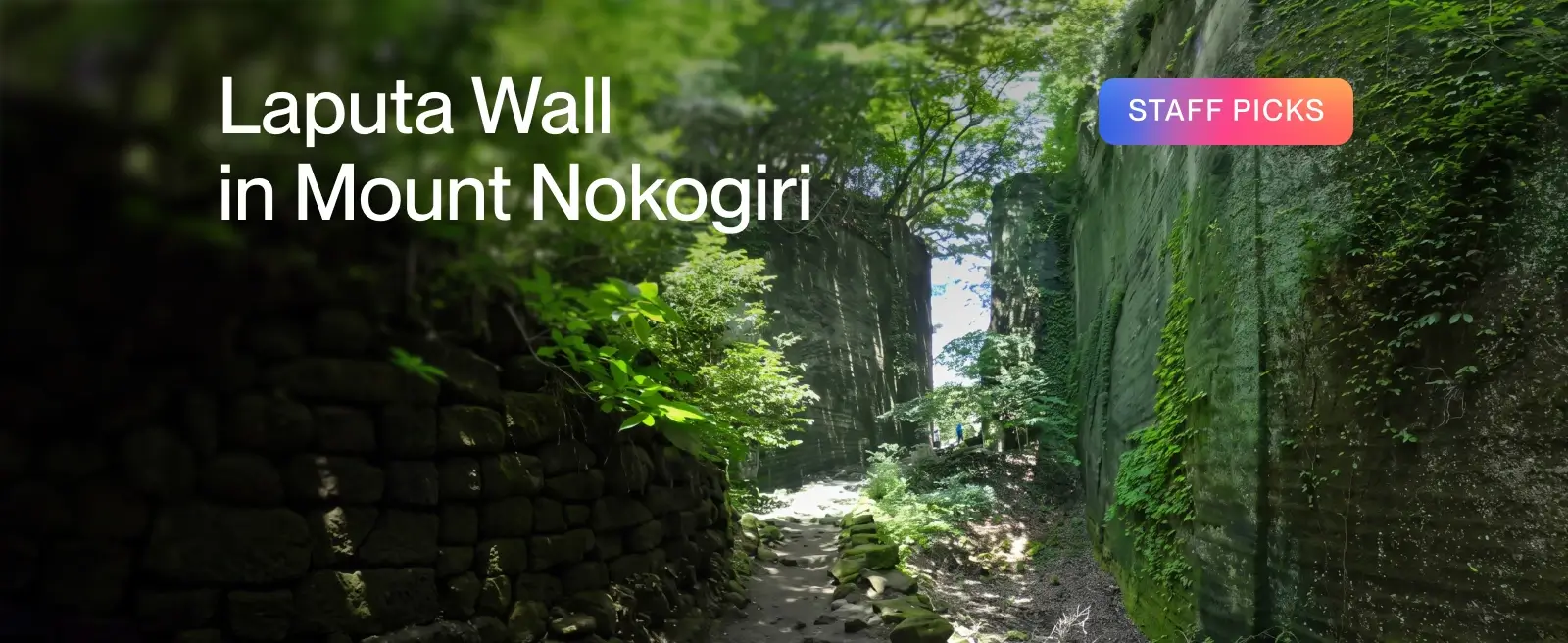 Laputa Wall in Mount Nokogiri