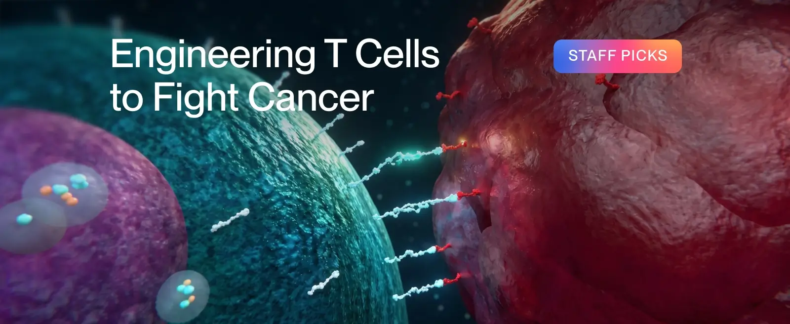 What Are CAR-T Cells?