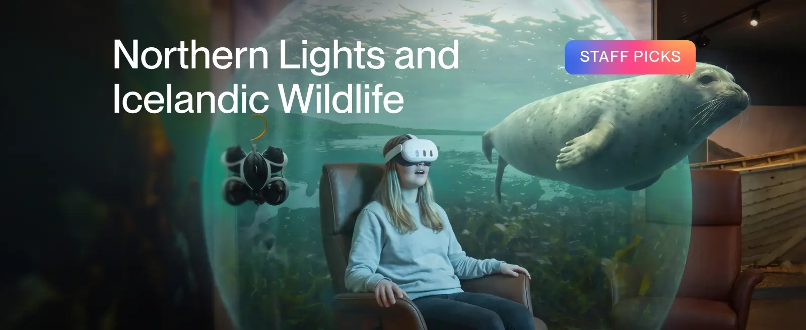 Immersive Iceland & Beyond