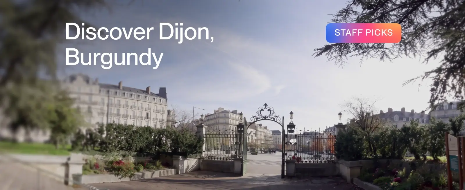 Discover Dijon