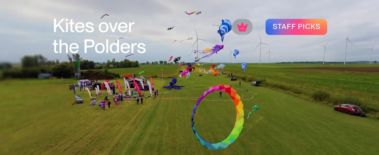 Kites over the Polders